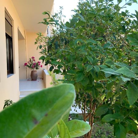 Antonis Chania City Family House Ngoại thất bức ảnh